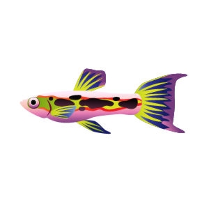 Greenstreak Endler Guppy